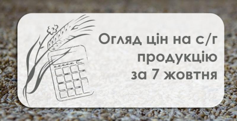 Соя, ячмінь та кукурудза подешевшали — огляд цін на с/г продукцію за 7 жовтня