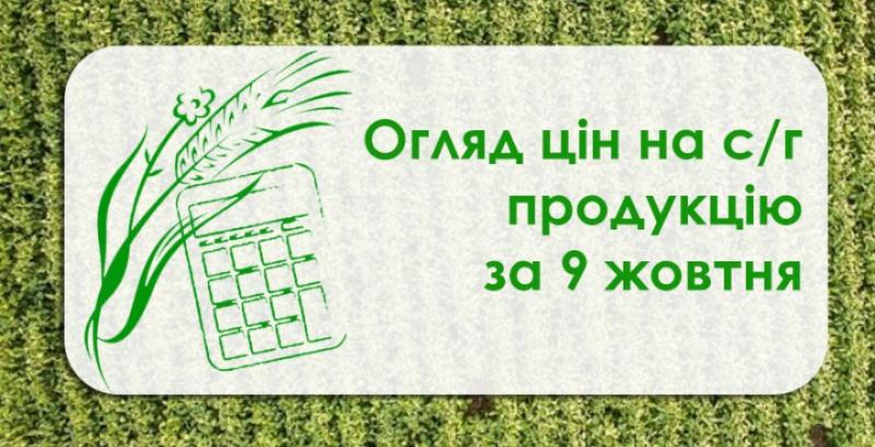 Зернові дорожчають, ціна соняшнику знизилась — огляд цін на с/г продукцію за 9 жовтня