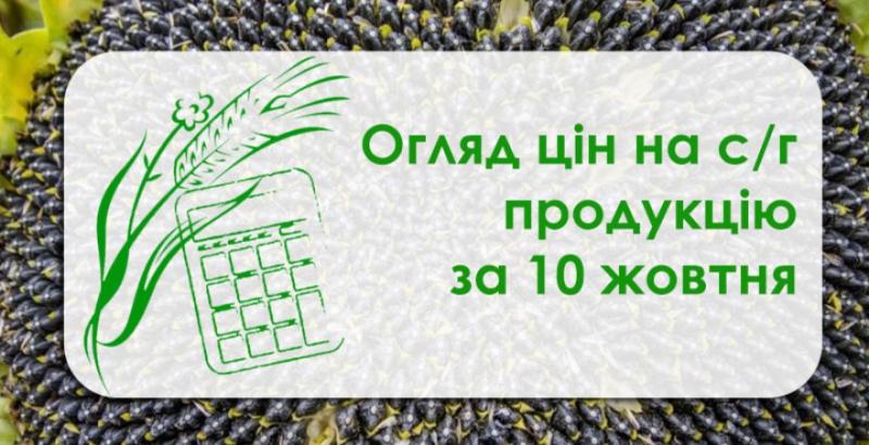 Ячмінь, кукурудза і соя подорожчали — огляд цін на с/г продукцію за 10 жовтня