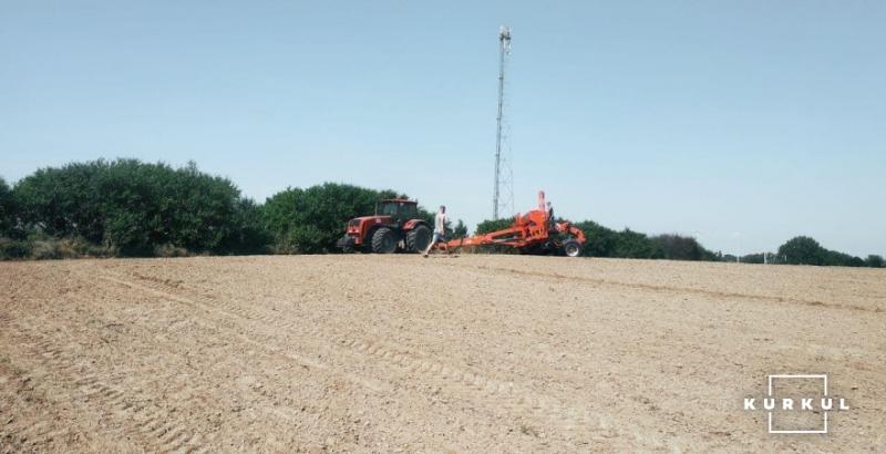 Аграрії України закінчують посів озимого ріпаку