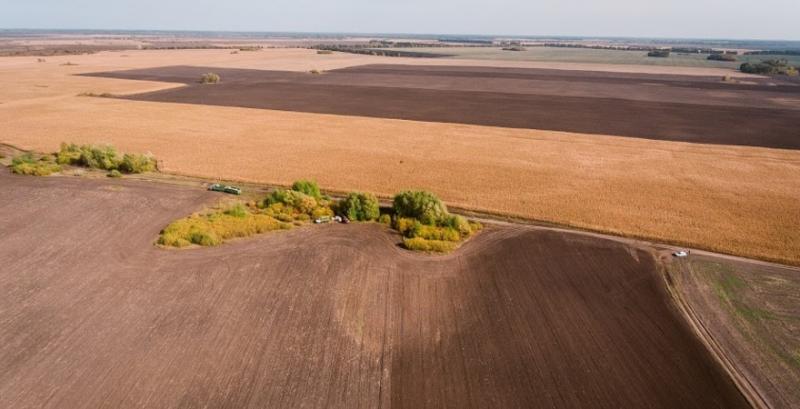 В аграрному комітеті розповіли про формування ціни на землю 