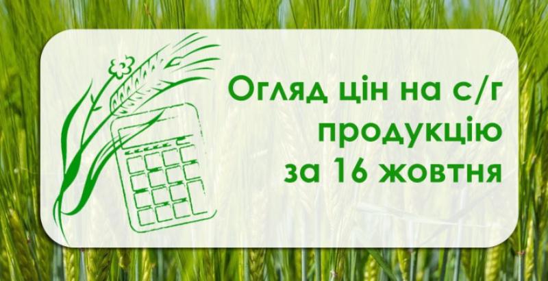 В Україні подешевшала соя — огляд цін на с/г продукцію за 16 жовтня