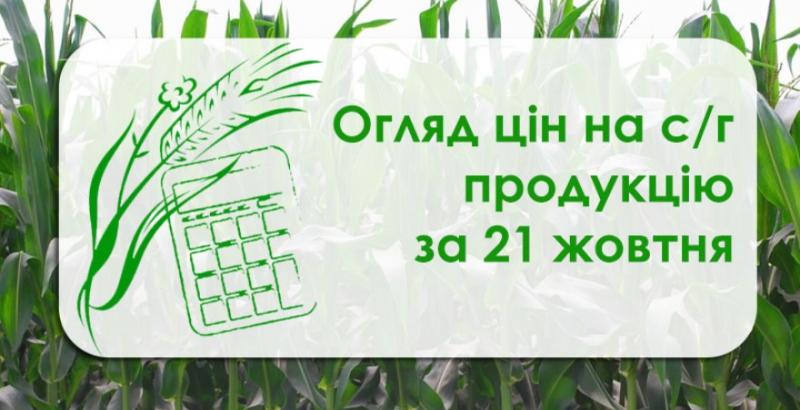 В Україні подешевшали зернові та олійні — огляд цін на с/г продукцію за 21 жовтня