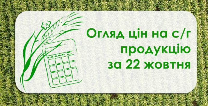 В Україні подорожчали соя та ячмінь — огляд цін на с/г продукцію за 22 жовтня