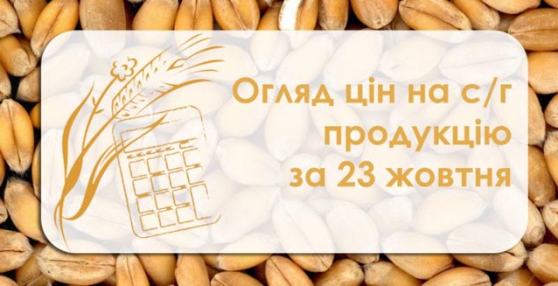 Пшениця та кукурудза подорожчали — огляд цін на с/г продукцію за 23 жовтня