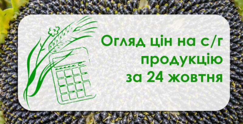 Ціни на пшеницю та кукурудзу продовжують зростати — огляд цін на с/г продукцію за 24 жовтня