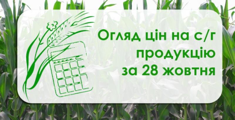 Соняшник подешевшав, ціна сої зросла — огляд цін на с/г продукцію за 28 жовтня