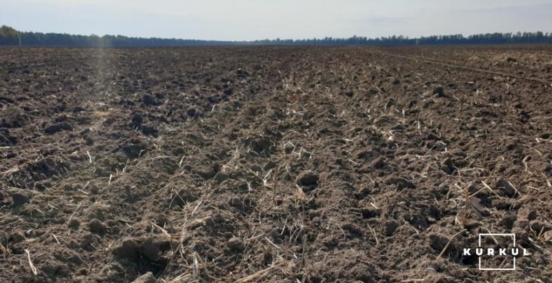 Чи існує ідеальний ґрунт та як керувати його родючістю — у Києві пройде триденний тренінг