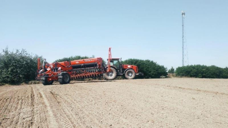 До кінця посівної озимих в Україні залишилося 7% — Посівна онлайн 2019/20 