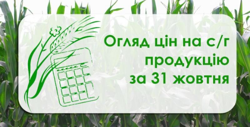 Як змінились ціни на зернові та олійні — огляд за 31 жовтня