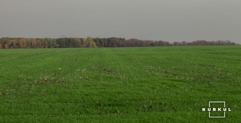 За роки незалежності з держвласності вкрали половину с/г земель — Милованов