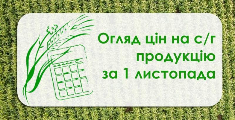 Пшениця та соя подорожчали — огляд цін на с/г продукцію за 1 листопада