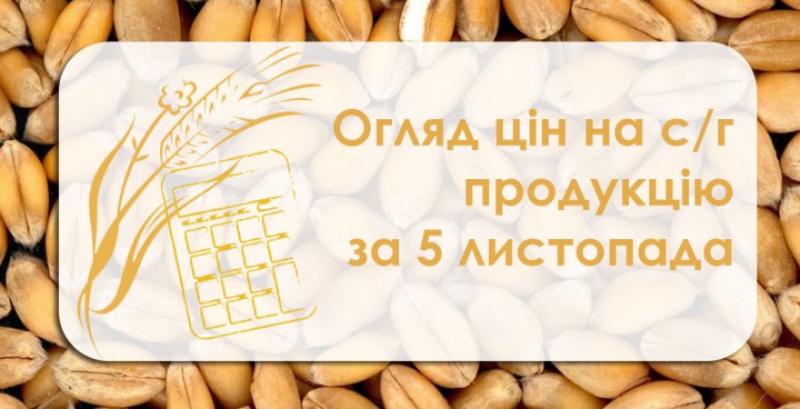 Ціна на зернові зросла — огляд за 5 листопада