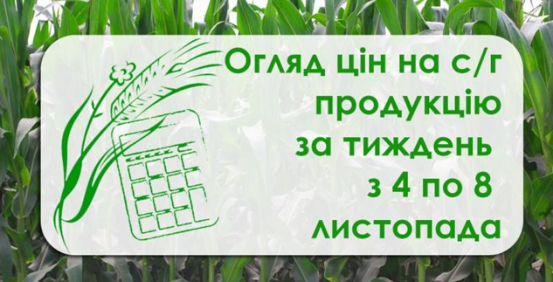 Соняшник та кукурудза подорожчали — як змінилися ціни на с/г продукцію за тиждень з 4 по 8 листопада