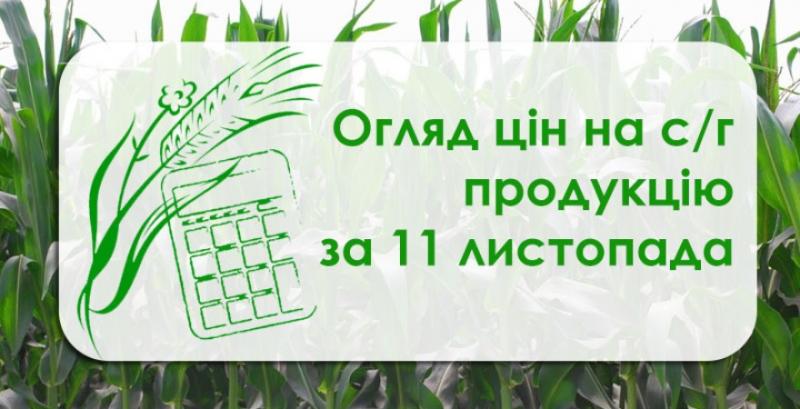 Ячмінь та соняшник подешевшали — огляд цін на с/г продукцію за 11 листопада