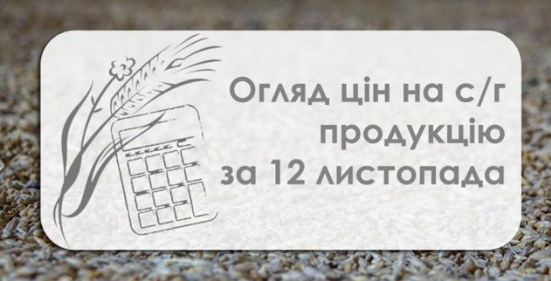 Ціна пшениці продовжує знижуватись — огляд цін на с/г продукцію за 12 листопада