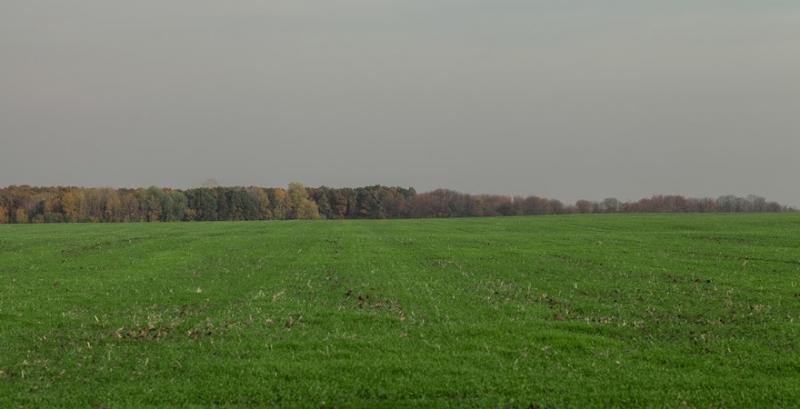 В Україні провели інвентаризацію 500 тисяч га сільгоспземель