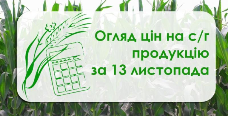 Соняшник, ячмінь та пшениця подешевшали — огляд цін на с/г продукцію за 13 листопада