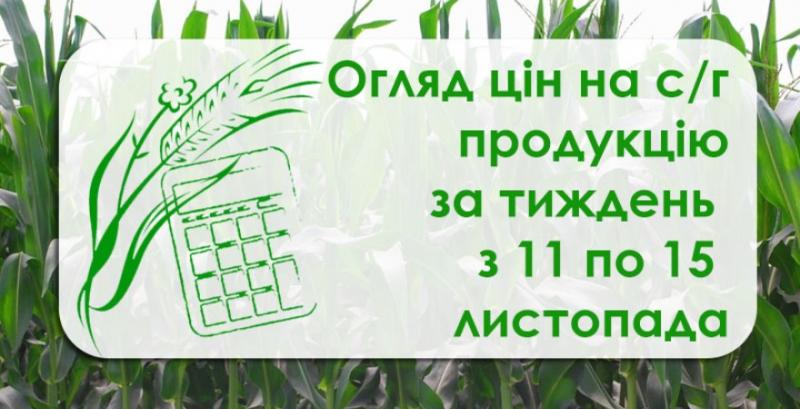 Кукурудза та ячмінь подешевшали — як змінилися ціни на с/г продукцію за тиждень з 11 по 15 листопада