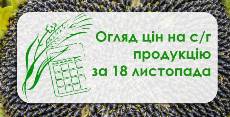 Соняшник подешевшав, кукурудза подорожчала — огляд цін на с/г продукцію за 18 листопада