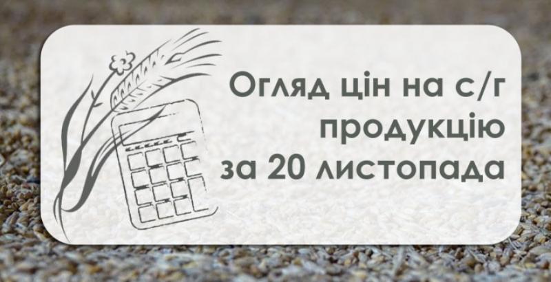 Кукурудза дешевшає другий день поспіль — огляд цін на с/г продукцію за 20 листопада