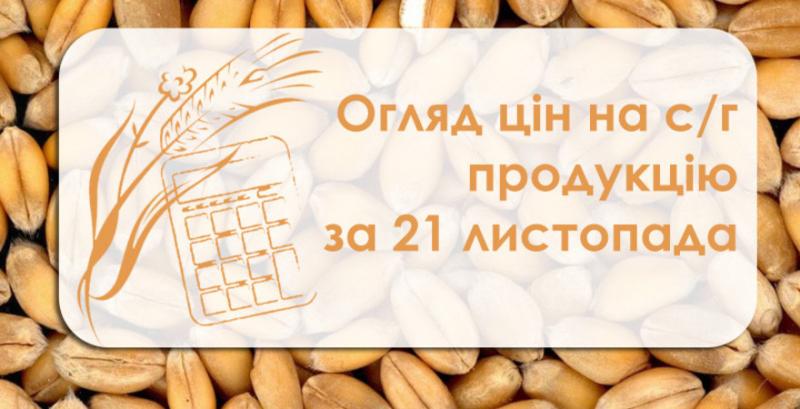 Огляд цін на с/г продукцію за 21 листопада