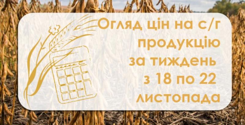 Як змінилися ціни на зернові та олійні — огляд за тиждень з 18 по 22 листопада