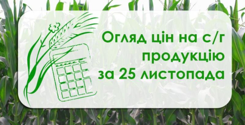 Пшениця подорожчала, ячмінь подешевшав — огляд цін на с/г продукцію за 25 листопада