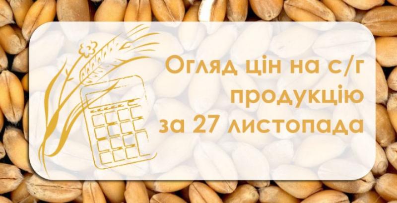 Ріпак подорожчав, ціна пшениці знизилась — огляд цін на с/г продукцію за 26 листопада