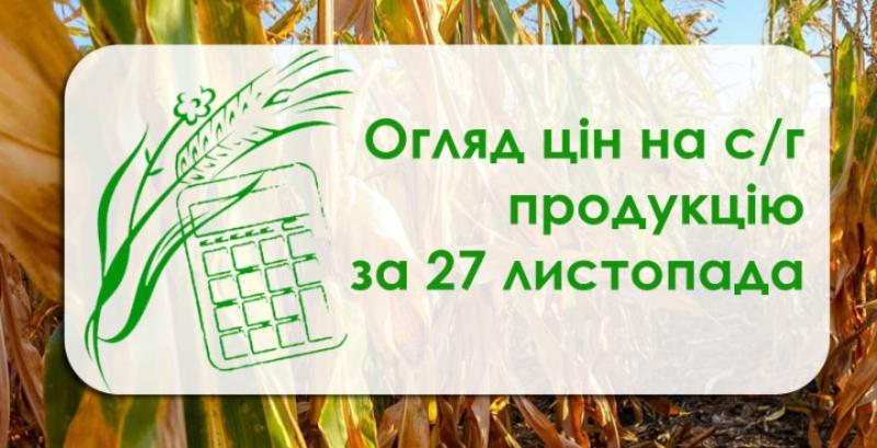 Ріпак дорожчає другий день поспіль — огляд цін на с/г продукцію за 27 листопада