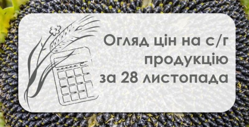 Як змінились ціни на зернові та олійні в Україні — огляд за 28 листопада