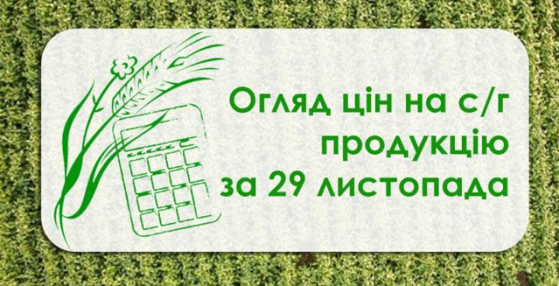 Кукурудза подорожчала, ячмінь подешевшав — огляд цін на с/г продукцію за 29 листопада