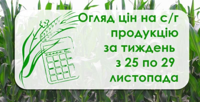 Як змінилися ціни на зернові та олійні — огляд за тиждень з 25 по 29 листопада