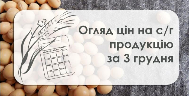 Як змінились ціни на зернові та олійні — огляд за 3 грудня