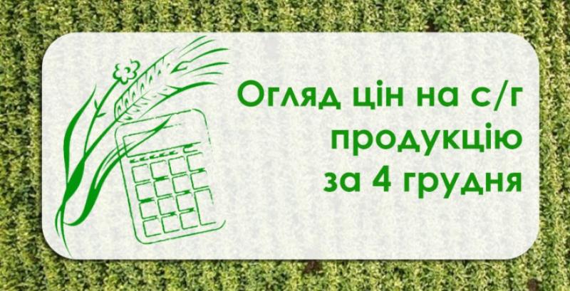 Соняшник та соя подорожчали — огляд цін на с/г продукцію за 4 грудня