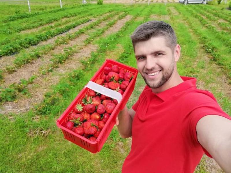 Микола Стецьків, співзасновник полуничної ферми «ФайнаBerry» на Львівщині