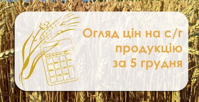 Соняшник продовжує дорожчати — огляд цін на с/г продукцію за 5 грудня