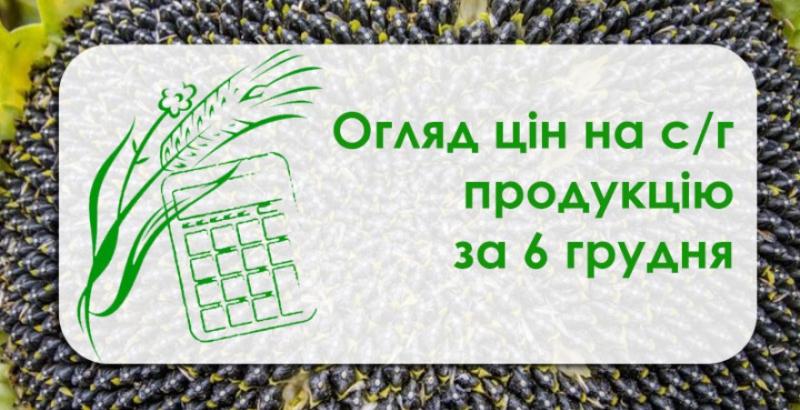 Ячмінь та кукурудза подорожчали — огляд цін на с/г продукцію за 6 грудня