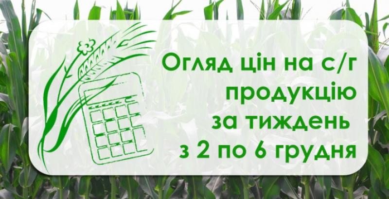 Як змінилися ціни на зернові та олійні — огляд за тиждень з 2 по 6 грудня