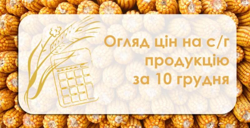 Соняшник подорожчав — огляд цін на с/г продукцію за 10 грудня