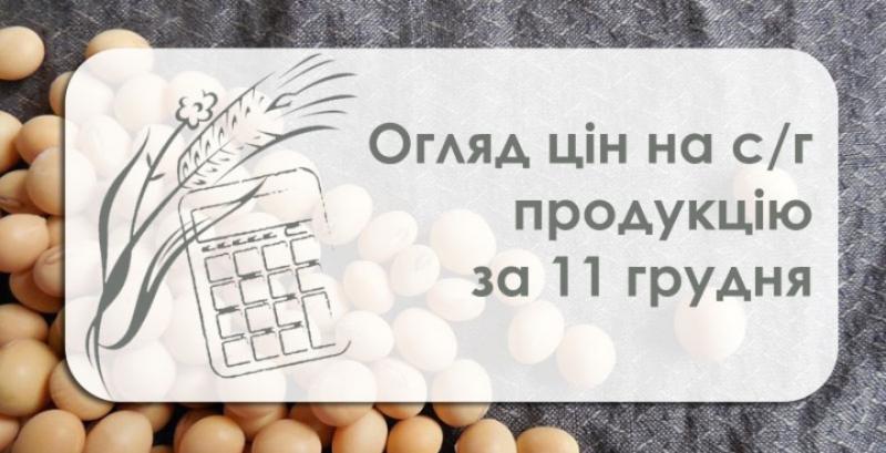 Ячмінь та соя подешевшали, ціна кукурудзи зросла — огляд цін на с/г продукцію за 11 грудня