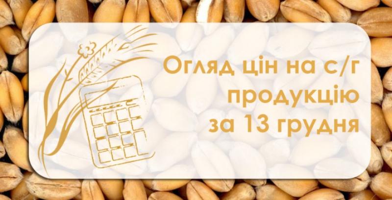 Ячмінь та соняшник продовжують дешевшати — огляд цін на с/г продукцію за 13 грудня