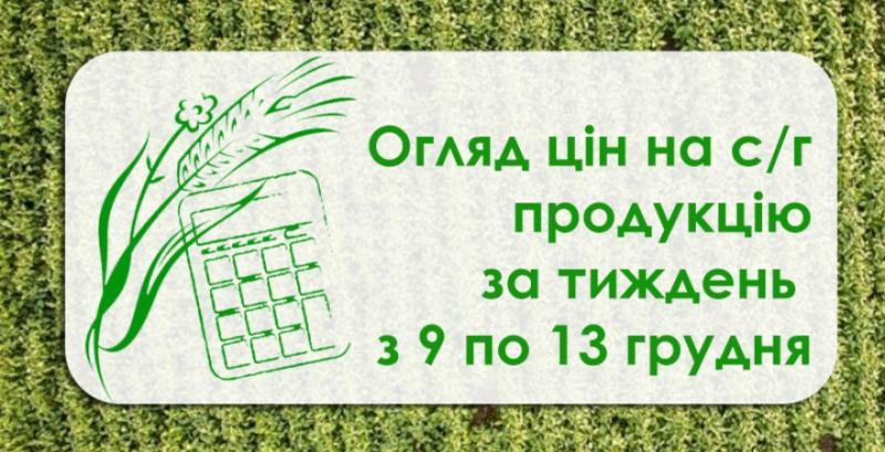 Кукурудза та соняшник подешевшали — огляд за тиждень з 9 по 13 грудня