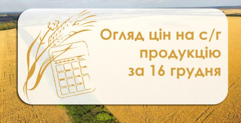 Огляд цін на с/г продукцію за 16 грудня