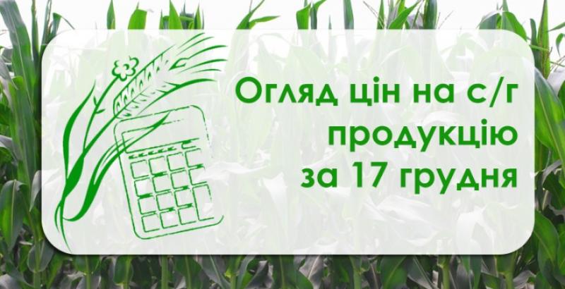 Кукурудза та соя подешевшали — огляд цін на с/г продукцію за 17 грудня