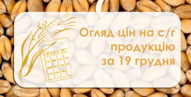 Соя подорожчала, ячмінь продовжує дешевшати — огляд цін на с/г продукцію за 19 грудня