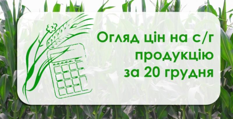 Соя та соняшник подорожчали — огляд цін на с/г продукцію за 20 грудня