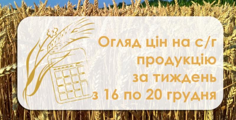 Як змінились ціни на зернові та олійні — огляд за тиждень з 16 по 20 грудня