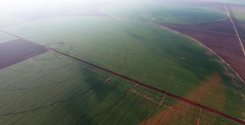 Повідомили терміни оформлення неуспадкованої земельної спадщини