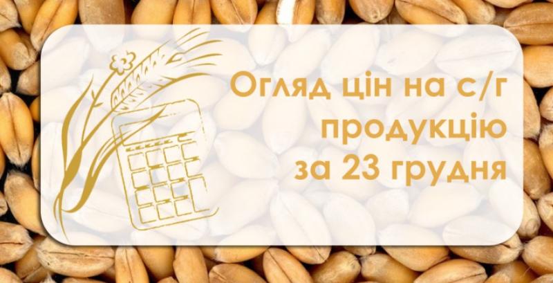 Соя та кукурудза подешевшали — огляд цін на с/г продукцію за 23 грудня